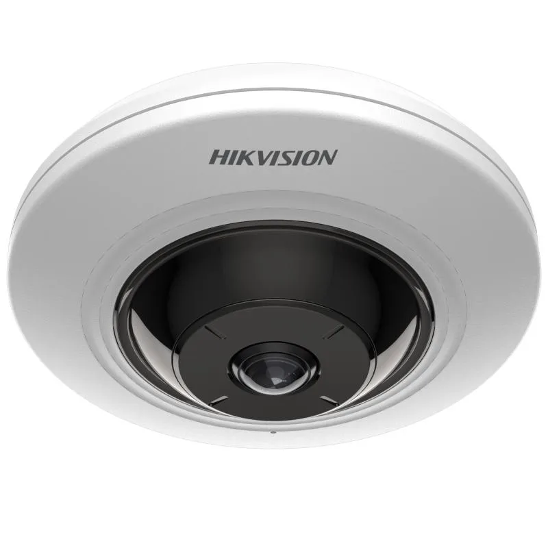 Hikvision DS-2CD2955G0-ISU 2